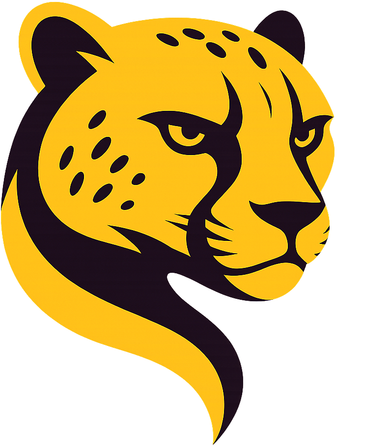 Cheetah Tool Pro Activation - 12 Months✅