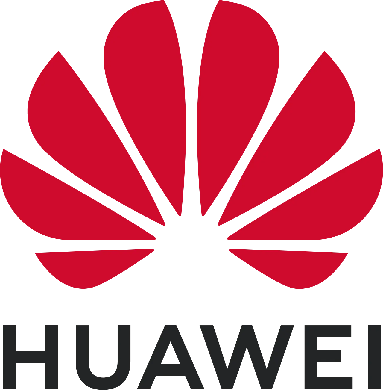 HUAWEI INFO CHECK